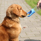 2-in-1 Portable Dog Water Bottle – Leak-Proof & Compact Travel Bottle for Small Dogs