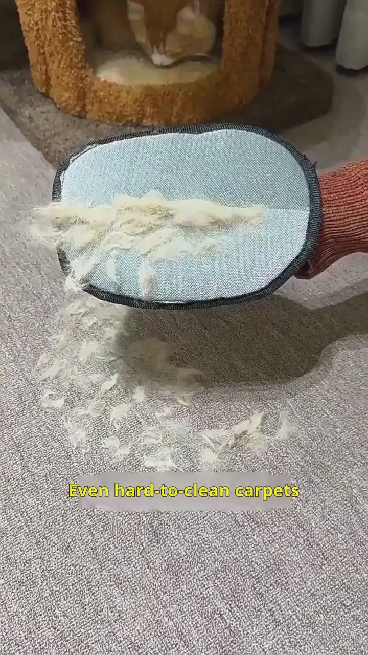1/10pcs Pet Hair Removal Brush Fluff Remover Glove Removes Hairs Dog Double-sided Hair Cleaning Gloves Cats Wool Glove Grooming