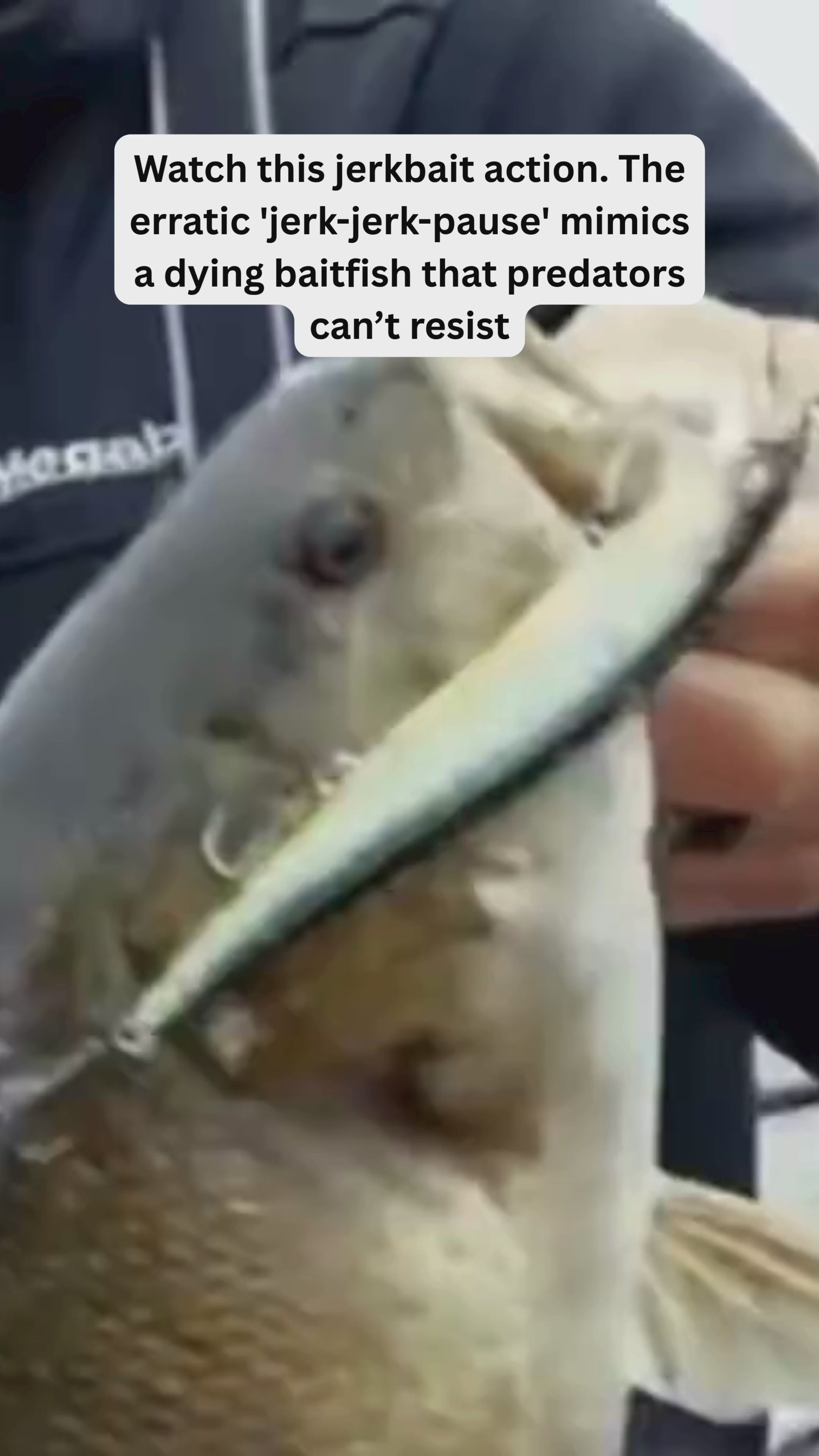 GOBAIT Long-Cast Minnow Lure